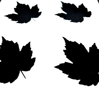 STENCIL 007